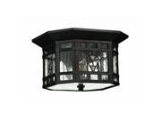 Hinkley Lighting H2243 2 Light Outdoor Flush Mount Ceiling Fixture from the Taho