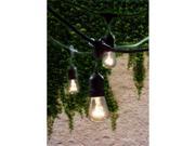 Bulbrite 810002 String Lights Outdoor Lighting Clear