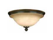Hinkley Lighting 4241OB Ceiling Fixtures Indoor Lighting Olde Bronze