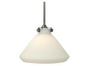 Hinkley Lighting 3131 1 Light 9.75 Height Indoor Full Sized Pendant with Etched