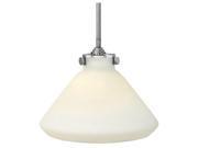 Hinkley Lighting 3131 1 Light 9.75 Height Indoor Full Sized Pendant with Etched