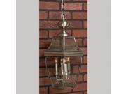 Quoizel 4 Light Newbury Outdoor Pendant in Pewter NY1180P