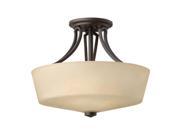 Hinkley Lighting 4431KZ Ceiling Fixtures Indoor Lighting Buckeye Bronze