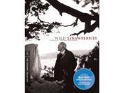 Wild Strawberries