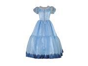 Deluxe Alice In Wonderland Costume 2 Theatrical Quality