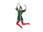 Deluxe Santa s Little Helper Elf Costume Theatrical Quality