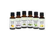 ZAQ Aromatherapy Top 6 100% Pure Therapeutic Essential Oil Gift Set 1 Oz Lavender Tea Tree Eucalyptus Lemon Orange Peppermint