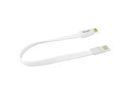 Reiko iPhone Magnetic Flat USB Data Cable
