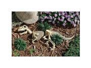 Raptor Skeleton Garden Sculpture
