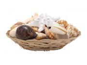 BENZARA 67850 Chic Sea Shell Bowl 11 W 5 H