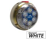 BLUEFIN LED DL6I SM W123 Bluefin LED DL6 Industrial Dock Light Diamond White