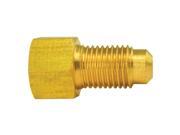 AGS A79BLF30 BRASS ADAPTER FEMALE 3 8