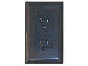 Diamond DIGWDR15BK 15 AMP DECOR RECEPTACLE WITH COVER BLACK