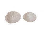 BENZARA 44771 Ceramic Seashell Dish s 2 9 11 w