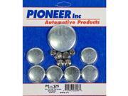 Pioneer P33PE125 EXPANSION PLUG KIT Pioneer P33PE125 EXPANSION PLUG KIT