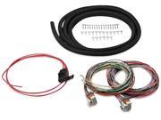 HOLLEY HOL558 307 UNIVERSAL COIL ON PLUG HARNESS