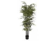 BENZARA 20573 Natural Polyethylene Potted BK Bamboo Tree 27 W 70 H