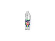 SPOONTIQUES 17813 OWLS ACRYLIC WATER BOT 22OZ