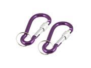 Bottle Bag Carrying Locking Key Chain Carabiner Purple 2 Pieces