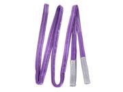 16ft 2 Ply Polyester Web Lift 1 x16 Lifting Tow Strap 2200LBS Purple
