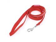 Unique Bargains Pet Dog Red LED Flash Light Nylon Traction Rope Pulling Leash Lead 1.8cm Wide
