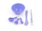 Unique Bargains Lady Plastic Mask Mixing Bowl Brush Gauge Spoon Skin Care Tool 4 in 1 Set Purple
