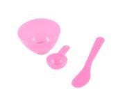 Facial Skin Care DIY Mask Make Up Pink Plastic Bowl Spoon 3 in 1 Set