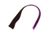 Unique Bargains Costume Play Brown Purple Clip Fasten Straight Hair Wig Hairpiece 48cm