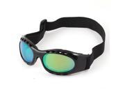 Unique Bargains Eye Protection Colorful Lens Windproof Ski Goggles Glasses