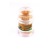 Home Restaurant Plastic Case Box Holder Container Clear w Toothpicks