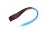 Unique Bargains Costume Play Blue Brown Clip Fasten Straight Hair Wig Hairpiece 47cm