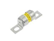 Silver Tone Metal Bolted Fast Acting Fuse 100A 380V AC SYU RGS11