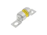 Silver Tone Metal Bolted Fast Acting Fuse 10A 380V AC SYU RGS11
