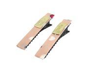 2 Pieces Pink Heart Prints Fibre Coated Black Metal Clip Hairclips for Lady