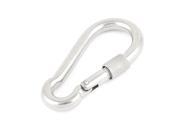 Unique Bargains Carabiner Clip Snap Hook Keyring for Camping Outdoor Karabiner 100mm x 10mm