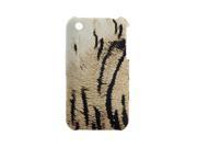 Hard Plastic Case Tiger Print Back Cover for iPhone 3G