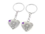 Unique Bargains 2 Pieces Silver Tone Heart Shape Lucky Charm Key Chain for Couples