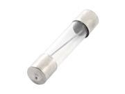 AC 250V 12A Cylinder Shaped Fast Blow Glass Fuse Tube 6mm x 30mm