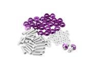 Unique Bargains M6 Purple Metal Cone Head License Plate Frame Bolts Screws Nuts Decor 25pcs