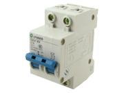 C16 16A 2 Pole 2P Circuit Breaker for Motor Protection