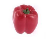 House Decor Photography Props Artificial Fake Bell Pepper Red