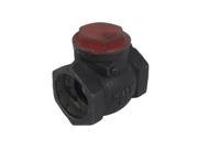 2BSP Female Thread One Way Horizontal Water Pipe Hose Check Valve Fitting Black