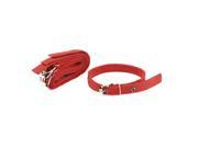 4 Pcs Pet Dog Single Pin Buckle Adjustable Lead Harness Belt Collar 43cm Length