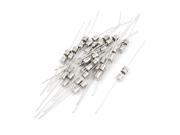 20pcs AC 250V 1A 4x11mm Fast blow Acting Axial Lead Glass Fuse Tube 6.5cm Length