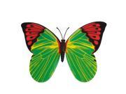 Refrigerator Outside Ornament Butterfly Magnetic Sticker Green Red