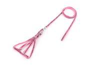 Puppy Dog Zebra Patterned Step in Harness Training Lead Rope Leash Shocking Pink