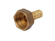 1 2BSP Female Thread 10mm Dia Hose Brass Barb Plug Pipe Connector Joint Fitting