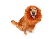 Large Pet Dog Lion Mane Wig Hat Hair Costume Festival Halloween Clothes w Ear