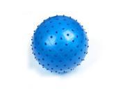 Inflatable Blue Spiky Body Exercise Stress Relief Massage Ball for Kid