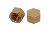 Unique Bargains1 4BSP Female Thread Brass Hex Head Pipe Cap Cover Fitting 2pcs